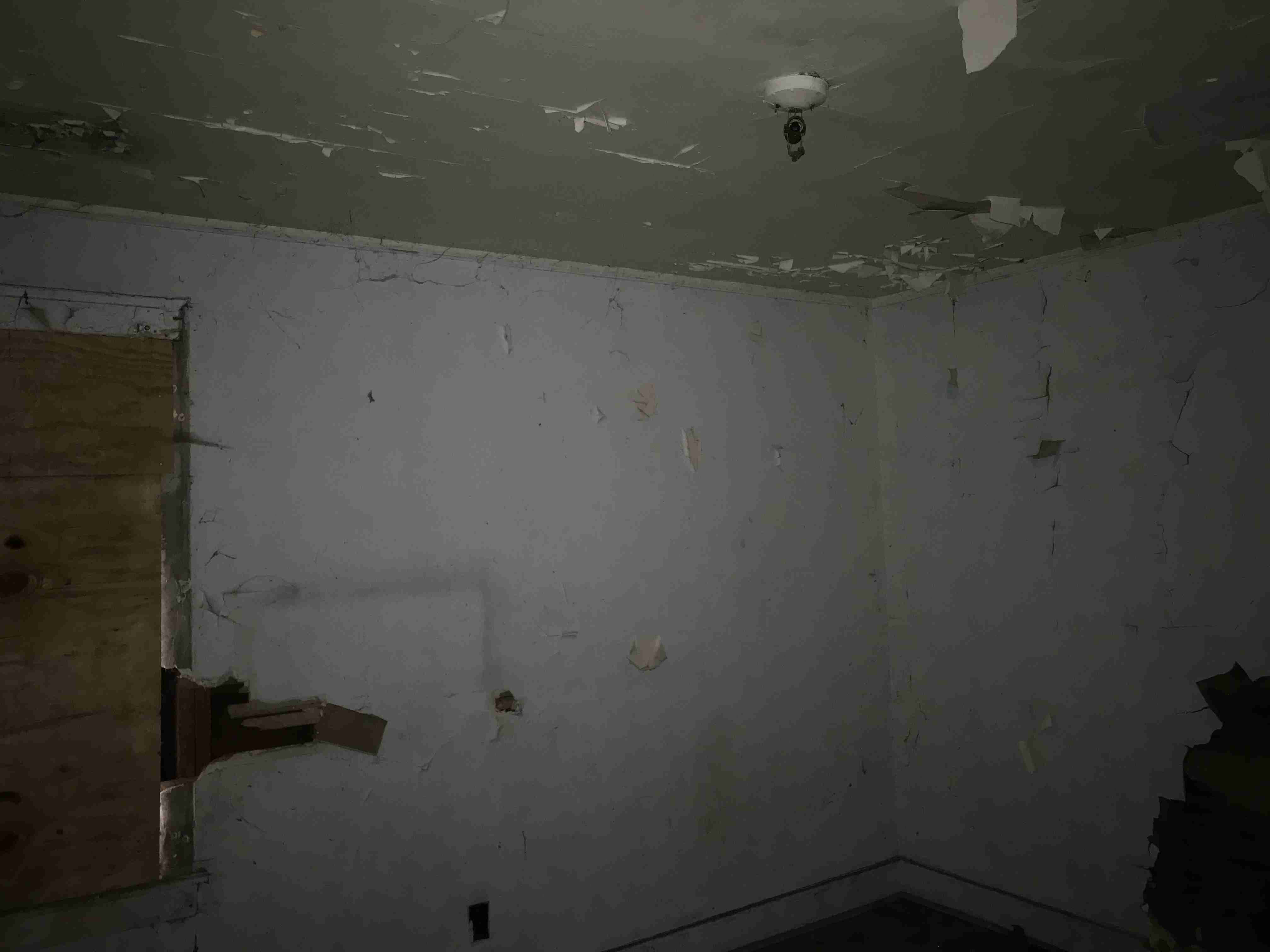 Photo Sep 10, 3 20 27 PM.jpg